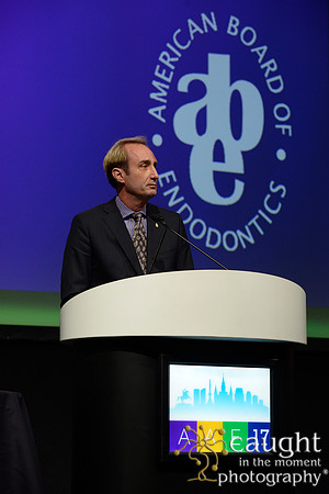 AAE 2017 Press_DSC1223.JPG