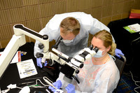 AAE 2017 Press_DSC8916.JPG