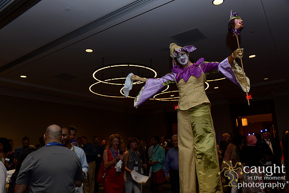 AAE 2017 Press_DSC2215.JPG