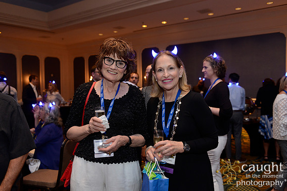 AAE 2017 Press_DSC2077.JPG