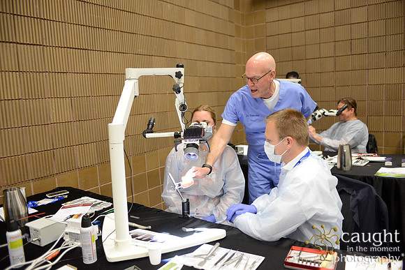 AAE 2017 Press_DSC8897.JPG