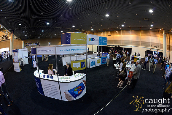 AAE 2017 Press_DSC1922.JPG
