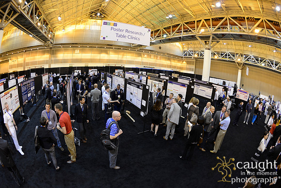 AAE 2017 Press_DSC0054.JPG