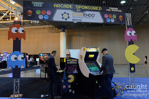AAE 2017 Press_DSC0297.JPG