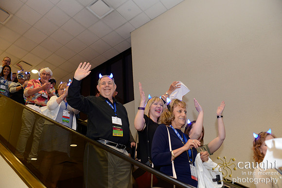 AAE 2017 Press_DSC2189.JPG