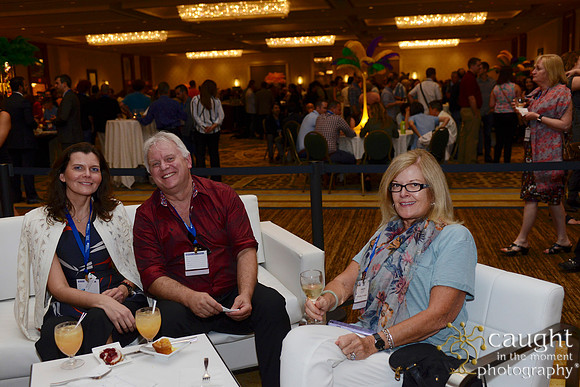 AAE 2017 Press_DSC9301.JPG