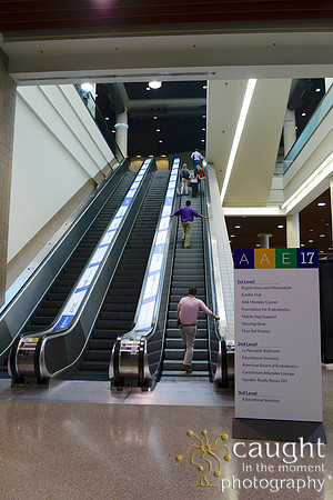 054 AAE 2017 in New Orleans-Registration & Signage