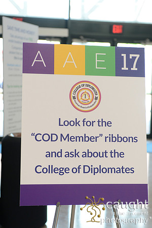 025 AAE 2017 in New Orleans-Registration & Signage