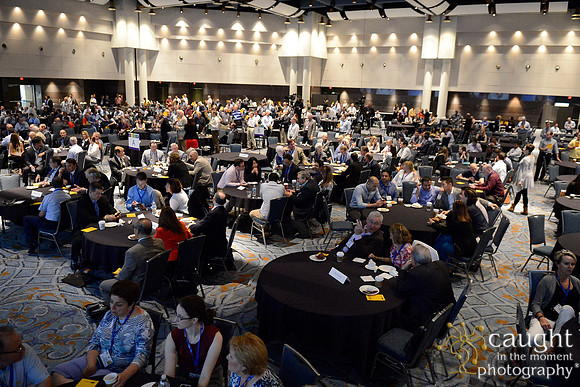 1021 AAE 2017 in New Orleans-General Assembly