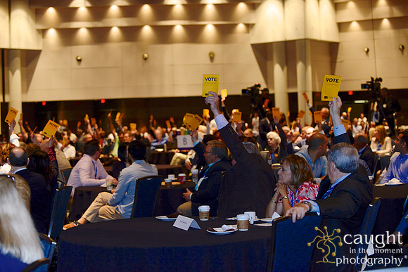 1019 AAE 2017 in New Orleans-General Assembly