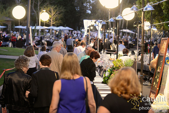 124 MTW Broadway in the Park 2014