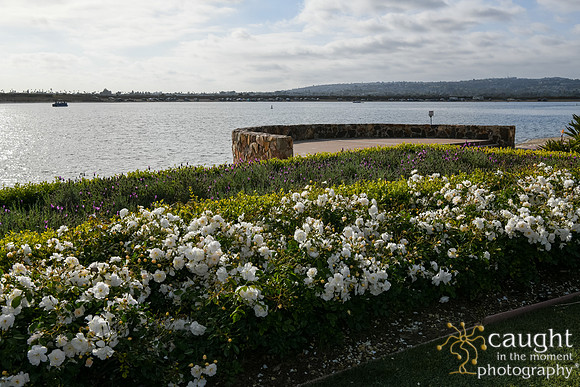 001 De La Cruz 50th Wedding Anniversary in San Diego