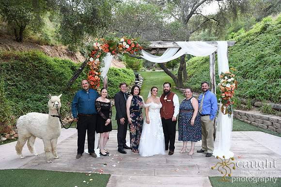 785 Chompff Wedding at Los Willows