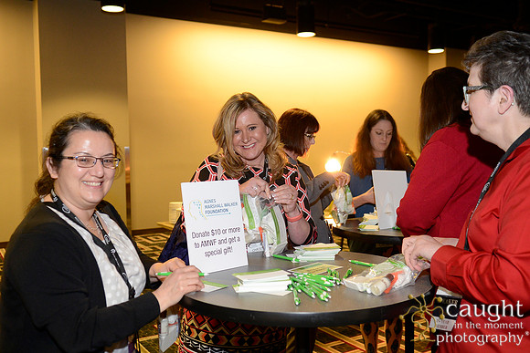 284 AANN 2016 Conference in New Orleans-Service Project