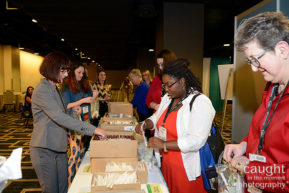 282 AANN 2016 Conference in New Orleans-Service Project