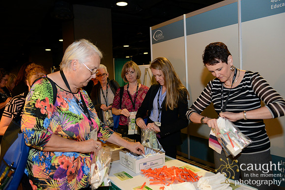 290 AANN 2016 Conference in New Orleans-Service Project