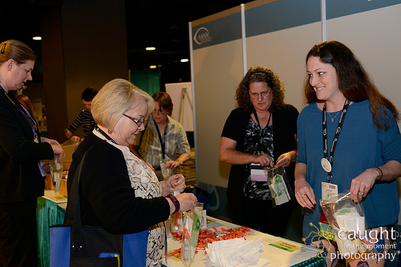 289 AANN 2016 Conference in New Orleans-Service Project