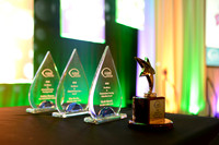 352 AANN 2016 Conference in New Orleans-Awards