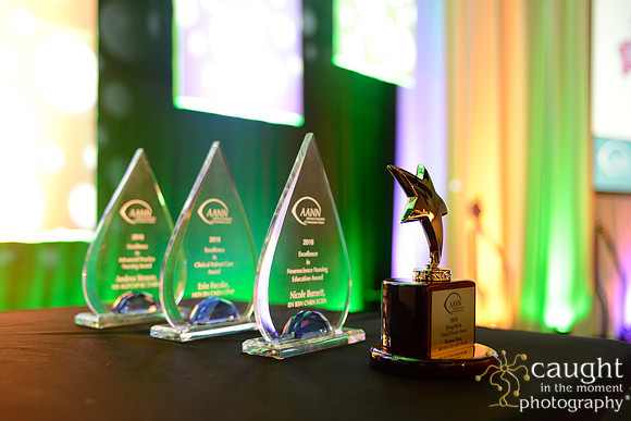352 AANN 2016 Conference in New Orleans-Awards