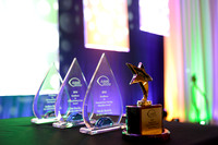 351 AANN 2016 Conference in New Orleans-Awards
