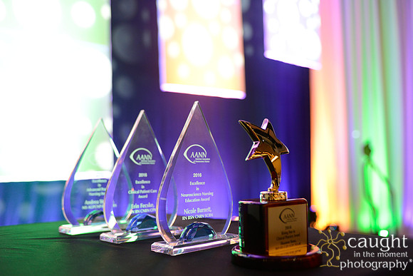 351 AANN 2016 Conference in New Orleans-Awards