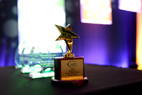 350 AANN 2016 Conference in New Orleans-Awards