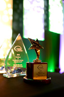 353 AANN 2016 Conference in New Orleans-Awards