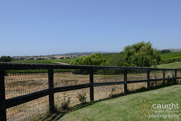 132 Solvang Wedding