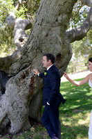86 Solvang Wedding