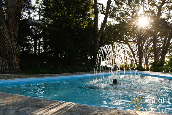 006 Fountain Wedding at Wayfarers Chapel