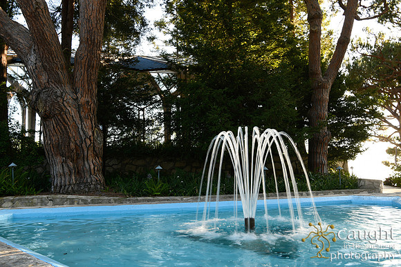 007 Fountain Wedding at Wayfarers Chapel