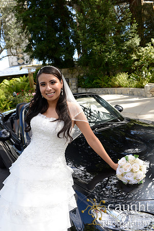 344 Wayfarers Wedding