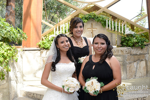 264 Wayfarers Wedding