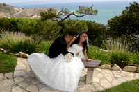 329 Wayfarers Wedding