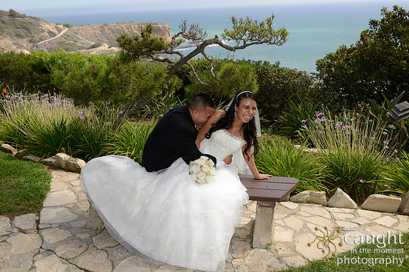 329 Wayfarers Wedding