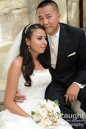 276 Wayfarers Wedding