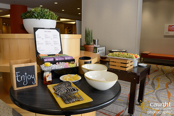 008 MPIOC November Workshop & Luncheon at Hotel Irvine
