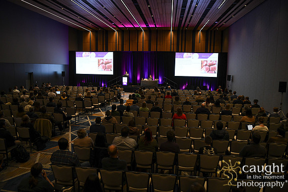 203 ACVP 2024 in Seattle