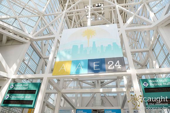 081 AAE 2024 in Los Angeles - Registration & Signage