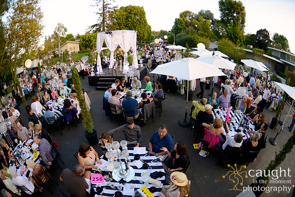107 MTW Broadway in the Park 2014