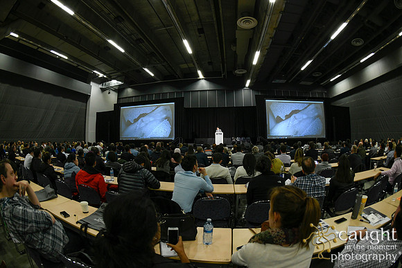 606 AAE 2019 in Montreal - Education Sessions