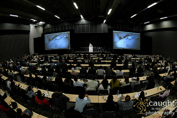 607 AAE 2019 in Montreal - Education Sessions