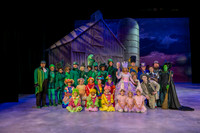 WizardofOzCAST