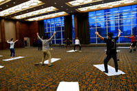 1184 AAE 2019 in Montreal - Yoga