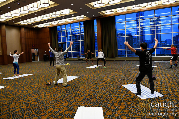 1184 AAE 2019 in Montreal - Yoga