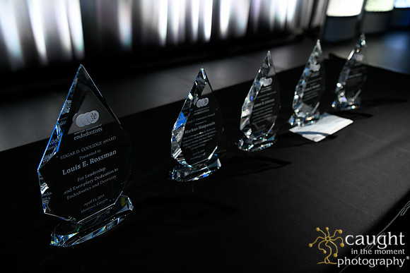 1438 AAE 2019 in Montreal - Coolidge Brunch & Awards