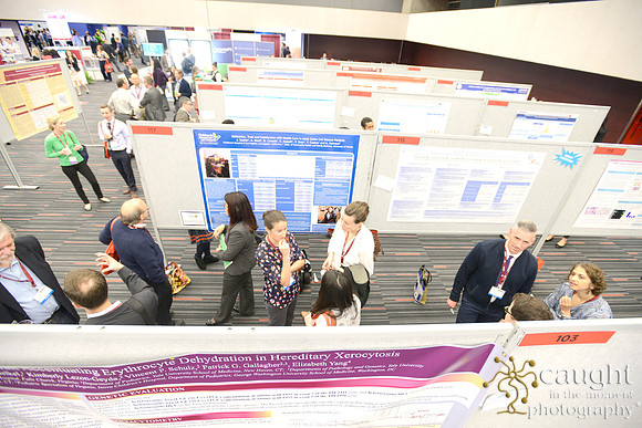 642 ASPHO 2017 Conference