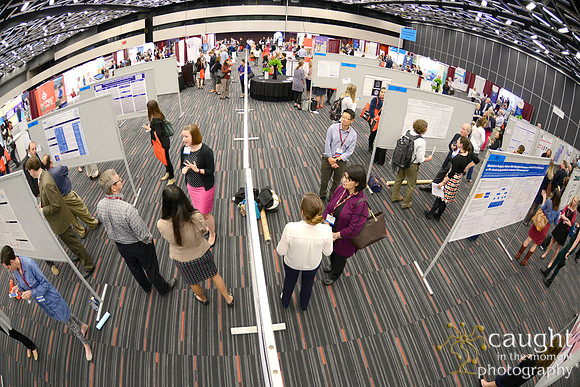 646 ASPHO 2017 Conference