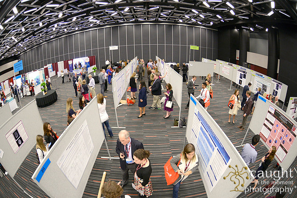 647 ASPHO 2017 Conference