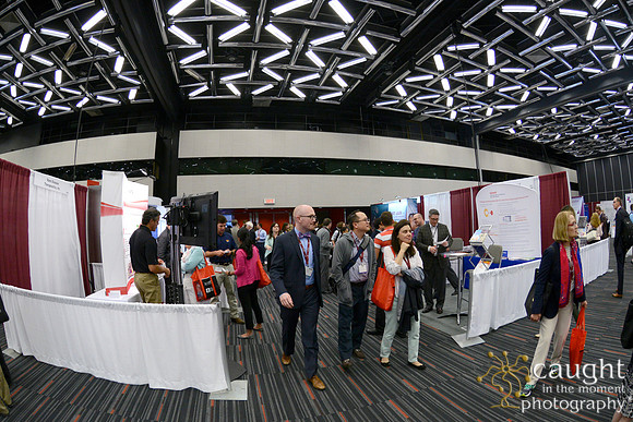 533 ASPHO 2017 Conference